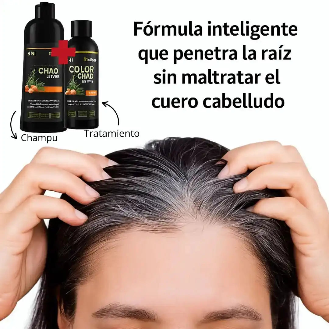 ByeGray™ - Champú Chao Canas + Tratamiento ✨Despídete de las canas y dale color, brillo y vida a tu cabello