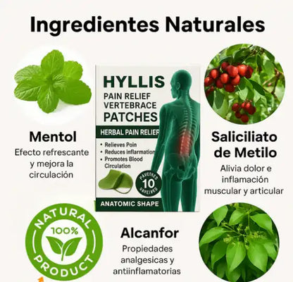 PainAway® – Parche Natural🌿 Alivio del Dolor donde más lo necesitas (Pack x10)